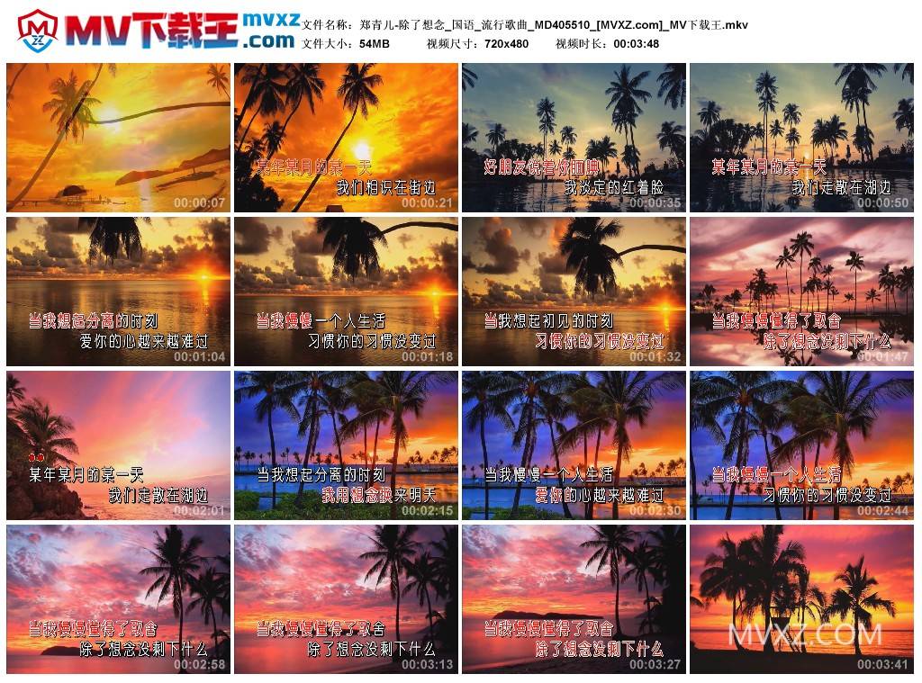 郑青儿-除了想念_国语_流行歌曲_MD405510